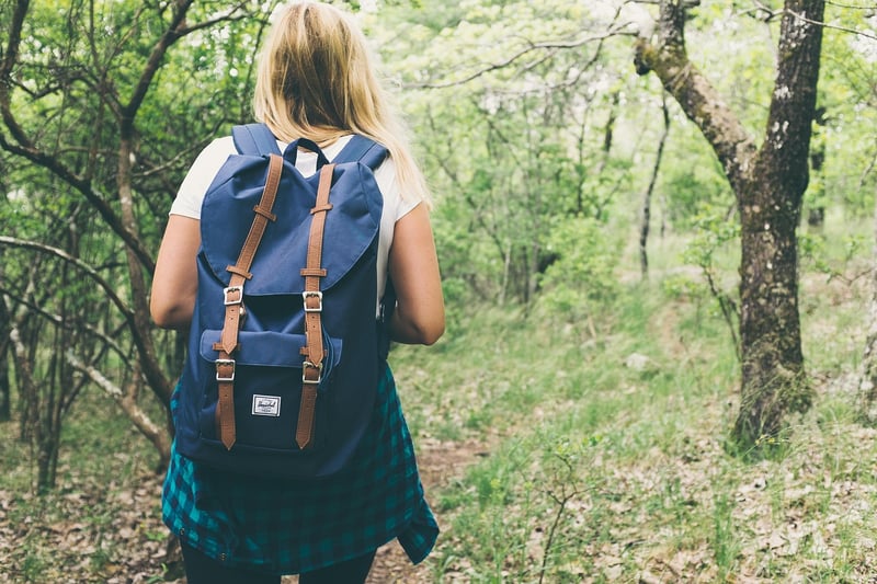 Forest Trek